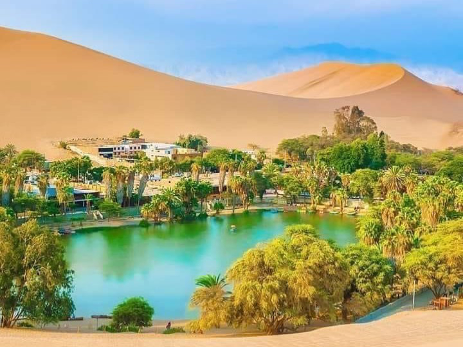 ỐC ĐẢO LÀ GÌ? TẠI SAO CÓ NƯỚC GIỮA SA MẠC? 2