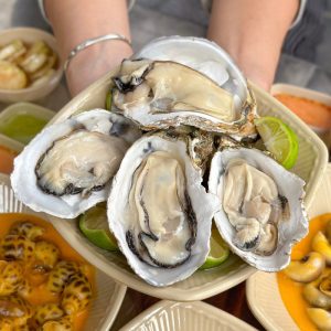 HÀU SỮA TÁI CHANH 1