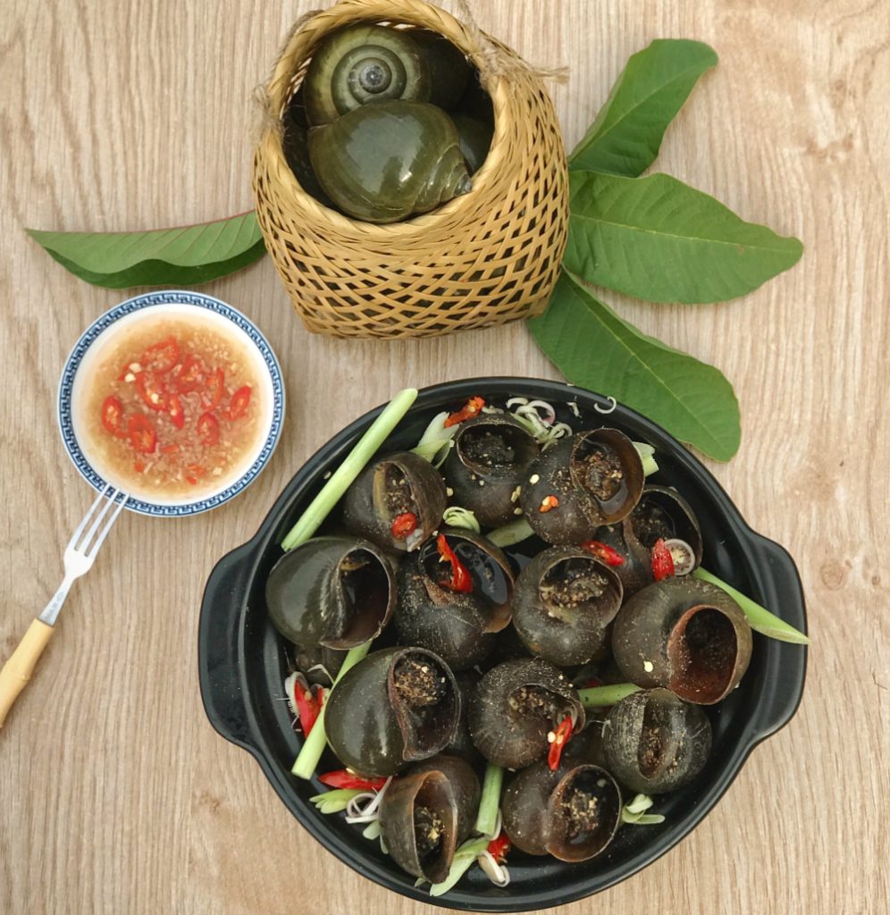 ỐC GÁC BẾP NGUYÊN CON 1