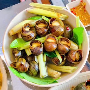 ỐC MÍT HẤP SẢ 1