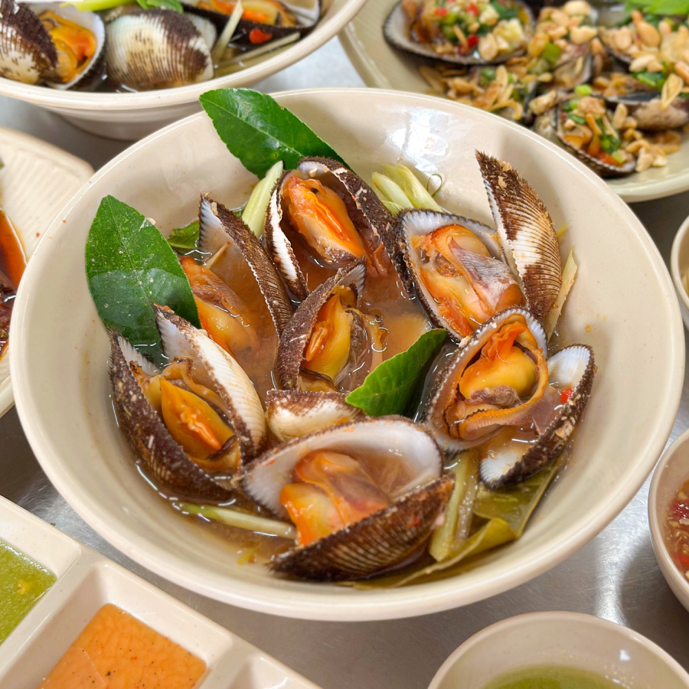 SÒ LÔNG HẤP SẢ 1