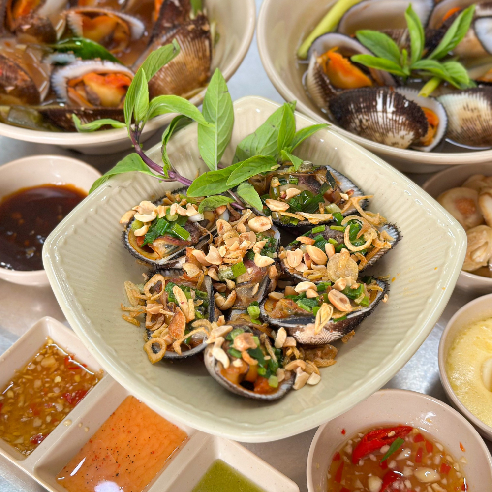 SÒ LÔNG HẤP SẢ 2