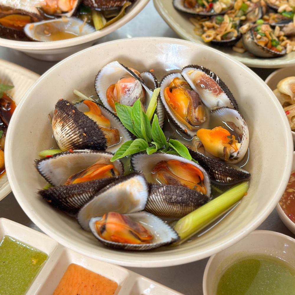SÒ LÔNG HẤP SẢ 3