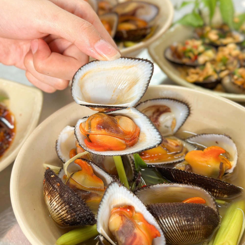 SÒ LÔNG HẤP SẢ 5