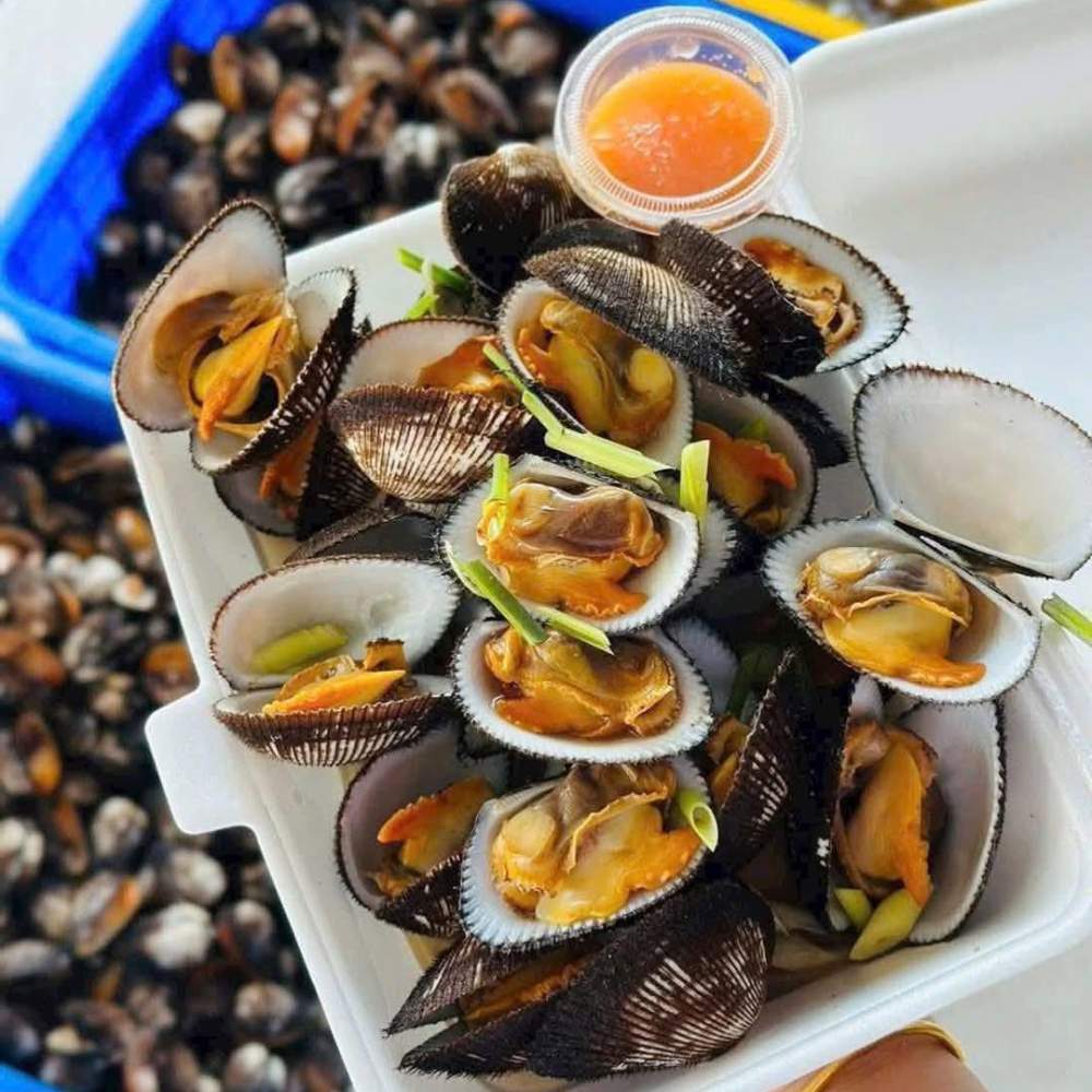 SÒ LÔNG HẤP SẢ 8