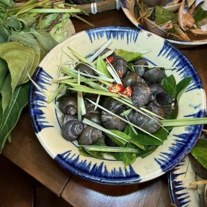 ỐC VẶN LUỘC TRUYỀN THỐNG 1